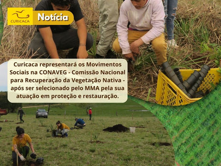 Instituto Curicaca integra a Conaveg em primeiro lugar na categoria Movimentos Sociais