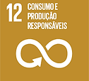12.2 Gestão sustentável dos recursos naturais; 12.b Monitorar os impactos para o turismo sustentável