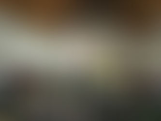 Curicaca reúne causos da onça-pintada no Parque Estadual do Turvo