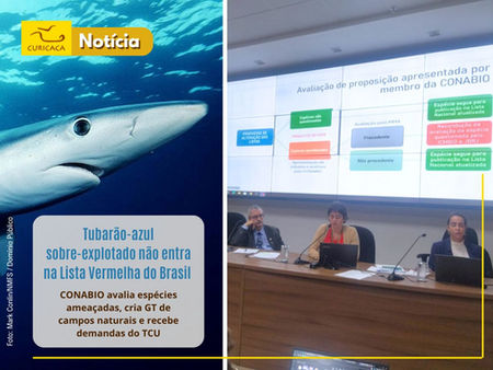 CONABIO avalia espécies ameaçadas, cria GT de campos naturais e recebe demandas do TCU