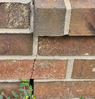 image000003.jpeg