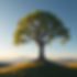Picture of the tree of life.jpg