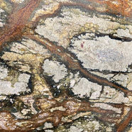 Tan granite countertop with dark green and brown veining.