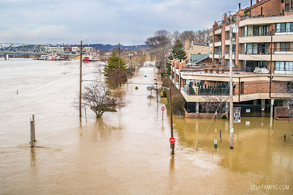 2015 Ohio River flooding / Covington KY Riverside Drive Historic District.