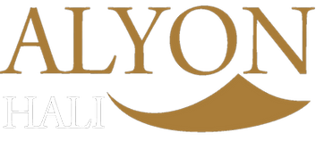 alyon logo_edited.png