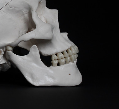 white skull on black surface_edited.jpg