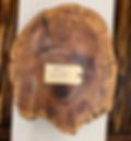Cedar Cake Riser 2