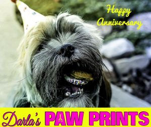 THANK YOU FOR A GREAT FIRST YEAR!