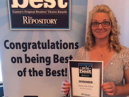 Darla's Paw Prints won "Best of Best Award"