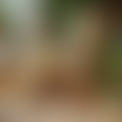 Personalized Naturopathy: How Tailoring Health Can Transform Your Wellness Journey