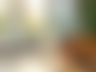 Intermittent Fasting and Naturopathic Approaches to Health and Wellness