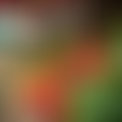 Navigating Organic Food Savings: Research-Backed Strategies for Budget-Friendly Shopping and Meal Planning