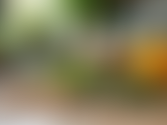 Naturopathy Techniques for Effective and Sustainable Weight Management Strategies