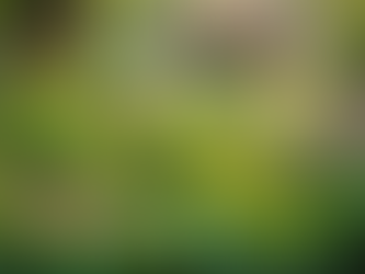 The Significance of Pitta in Promoting Liver Health in Ayurveda