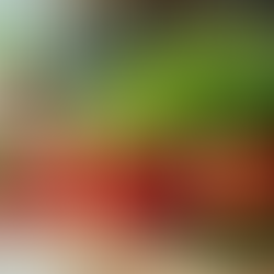 Essential Guide to Organic Food Choices for Pregnancy and Post-Natal Nutrition