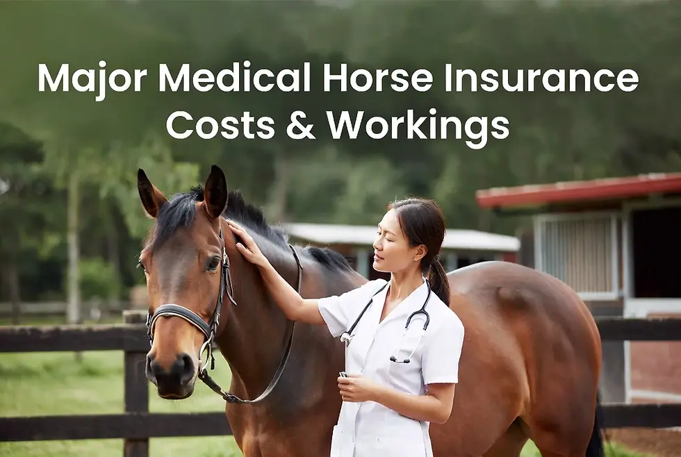 major medical horse insurance