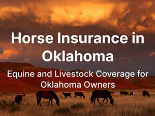 horse insurance in oklahoma