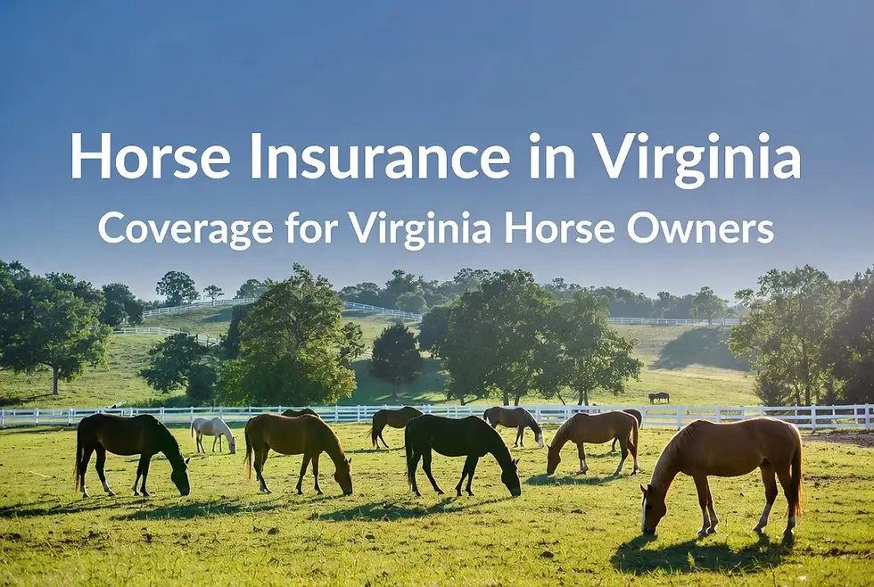 horse insurance in virginia