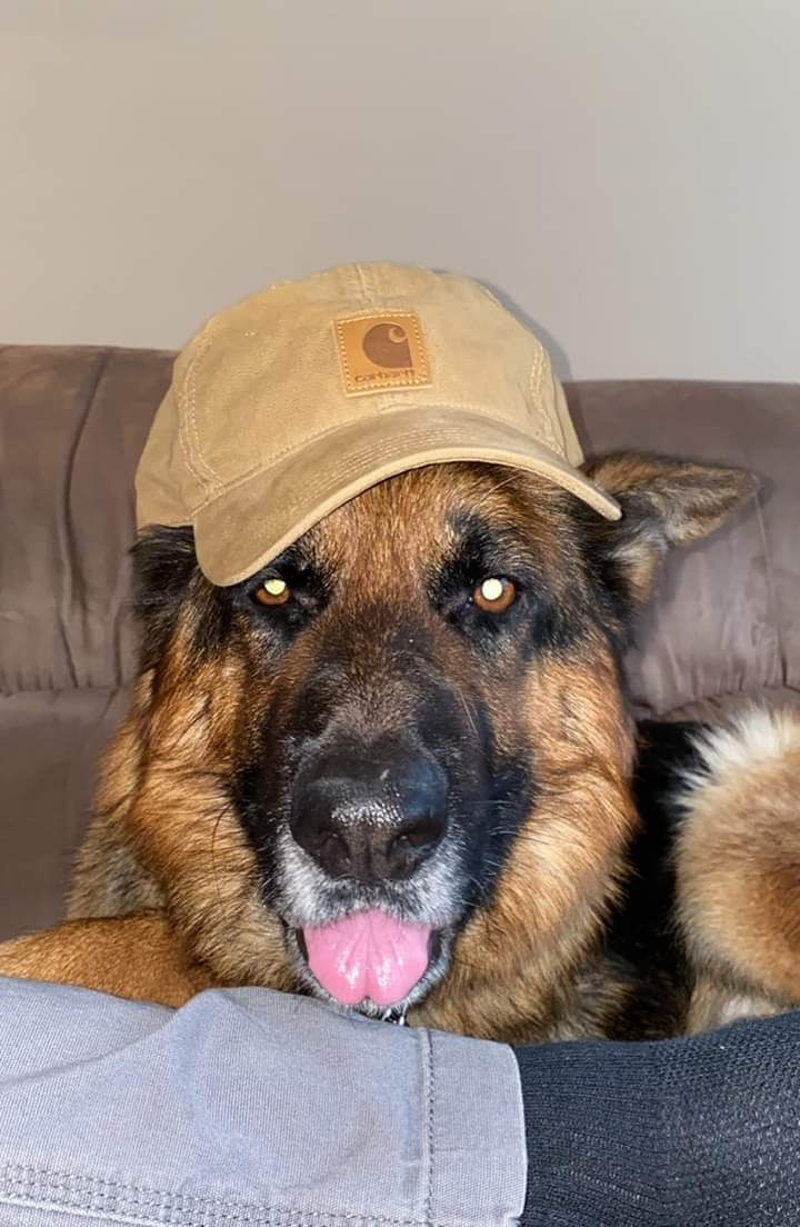 Sawyer