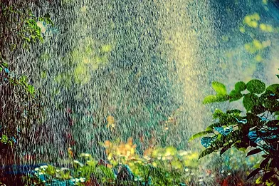 grass sprinkler system