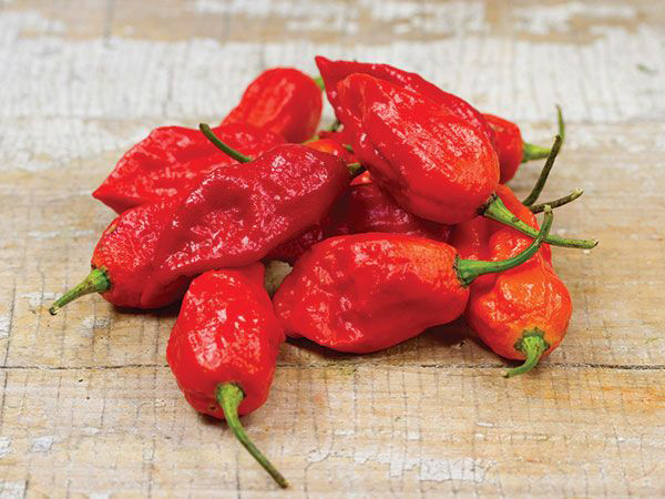 Super Hot Ghost Pepper Bhut Jolokia 10 seeds $5