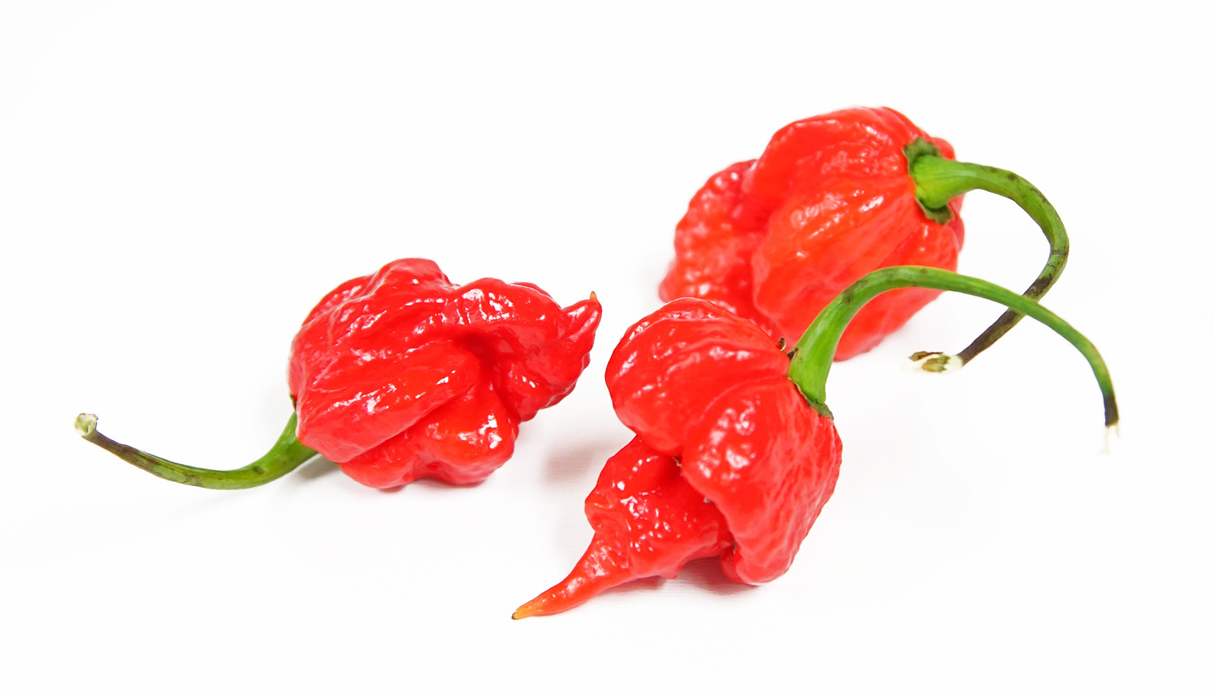 Super Hot Trinidad Scorpion Butch 10 seeds