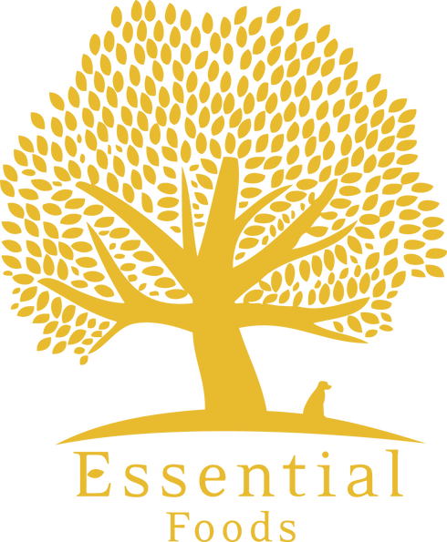 essentials.png