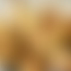 Ev Yapımı Fırın Ekmeği Tarifi