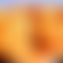 Peynirli Kol Böreği Tarifi