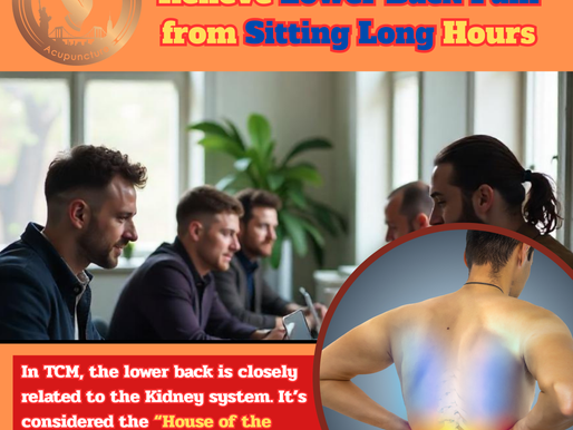 Treatment of lower back pain with "Acupuncture in Caulo Care"