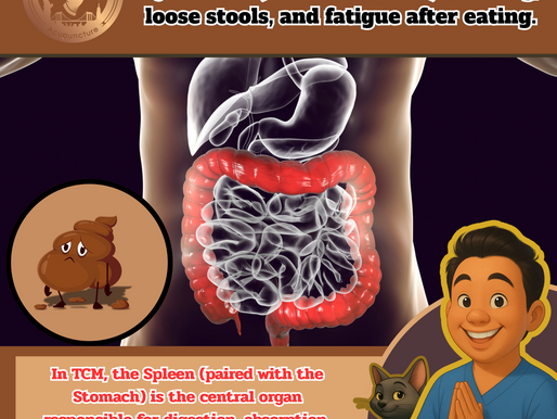 Understanding Gastrointestinal Disorders: A Comparative Analysis of Traditional Chinese Medicine and Western Nutrition for GERD Patients