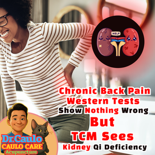 “Acupuncturist treating patient with chronic back pain at Caulo Care Forest Hills NY clinic”