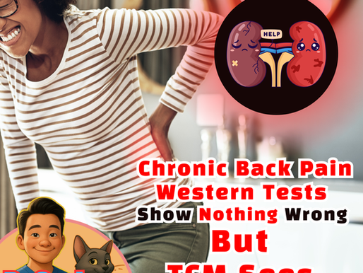 “Acupuncturist treating patient with chronic back pain at Caulo Care Forest Hills NY clinic”