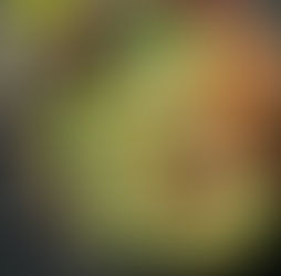 Δεν αρκεί το ασβέστιο: Τι πρέπει να τρώμε για γερά οστά