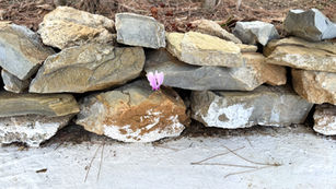 Σεπτέμβριος, ο πιο γλυκός μήνας του χρόνου