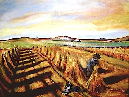 'Cadmium Harvest' - Orkney
