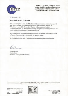 BITE Training Certificate.jpeg