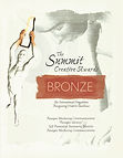 2004 Summit Awards_Paragon Identity_Bron