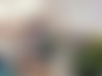 Das erste Blumenpflanzen