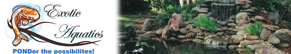 WAterfall and stream