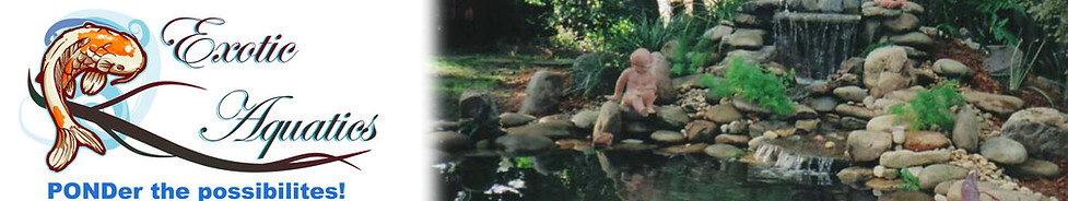 Waerfall and stream