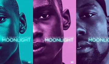 moonlight.webp