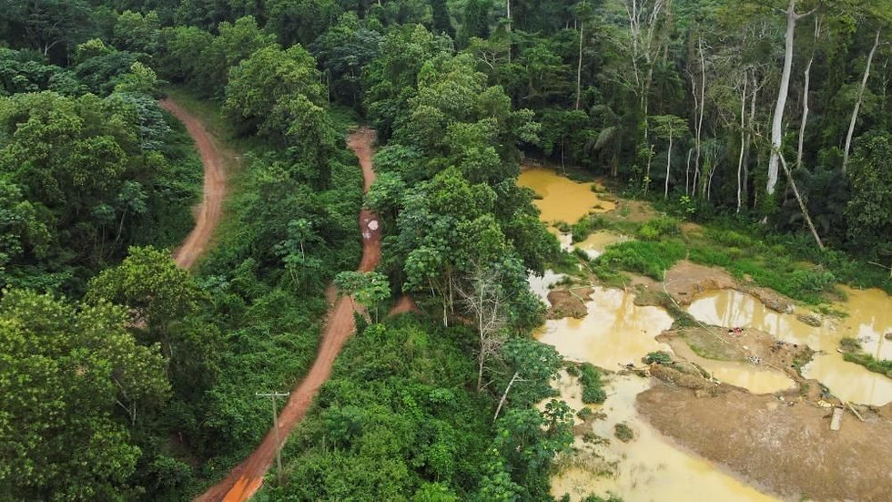 Affected area of illegal mining