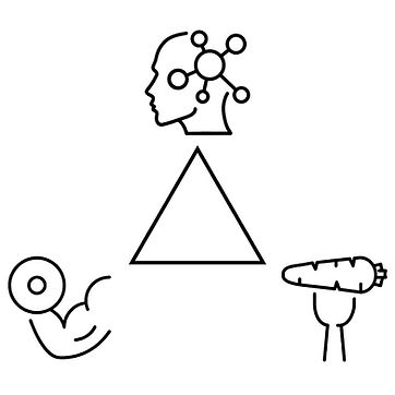 Triangle Body Mind Nutrition.jpg