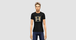 Harry Potter Merch