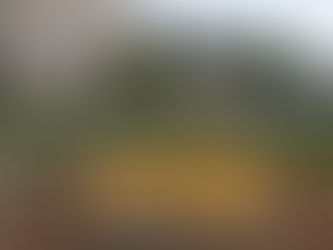 Journée du Patrimoine - 17/09/2023