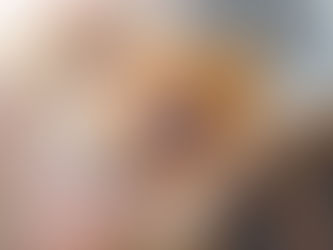 Pet friendly airlines we used when living in Europe!