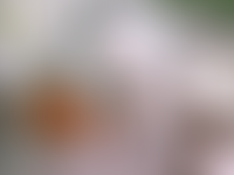 Soin botox capillaire : le traitement miracle