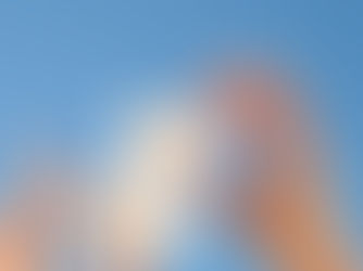 Le lissage Tanin : Une alternative aussi efficace qu'en salon de coiffure, sans se ruiner ! 😱