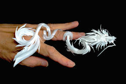 指のうえ　竜　Fingering dragon